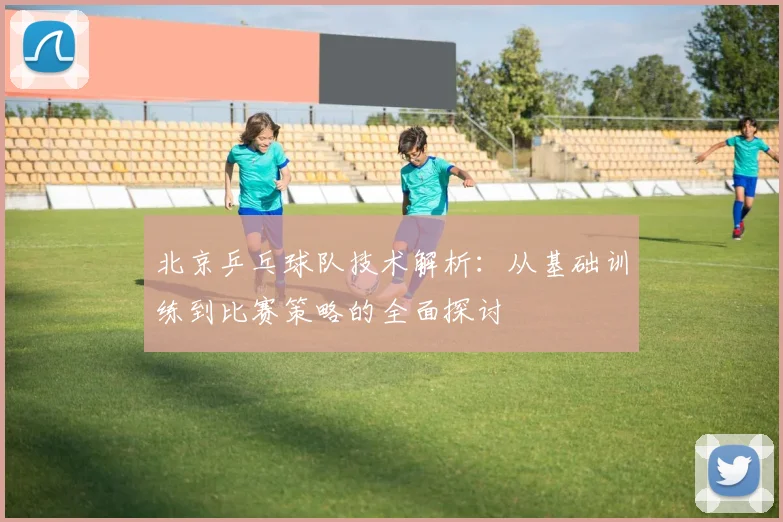 北京乒乓球队技术解析：从基础训练到比赛策略的全面探讨